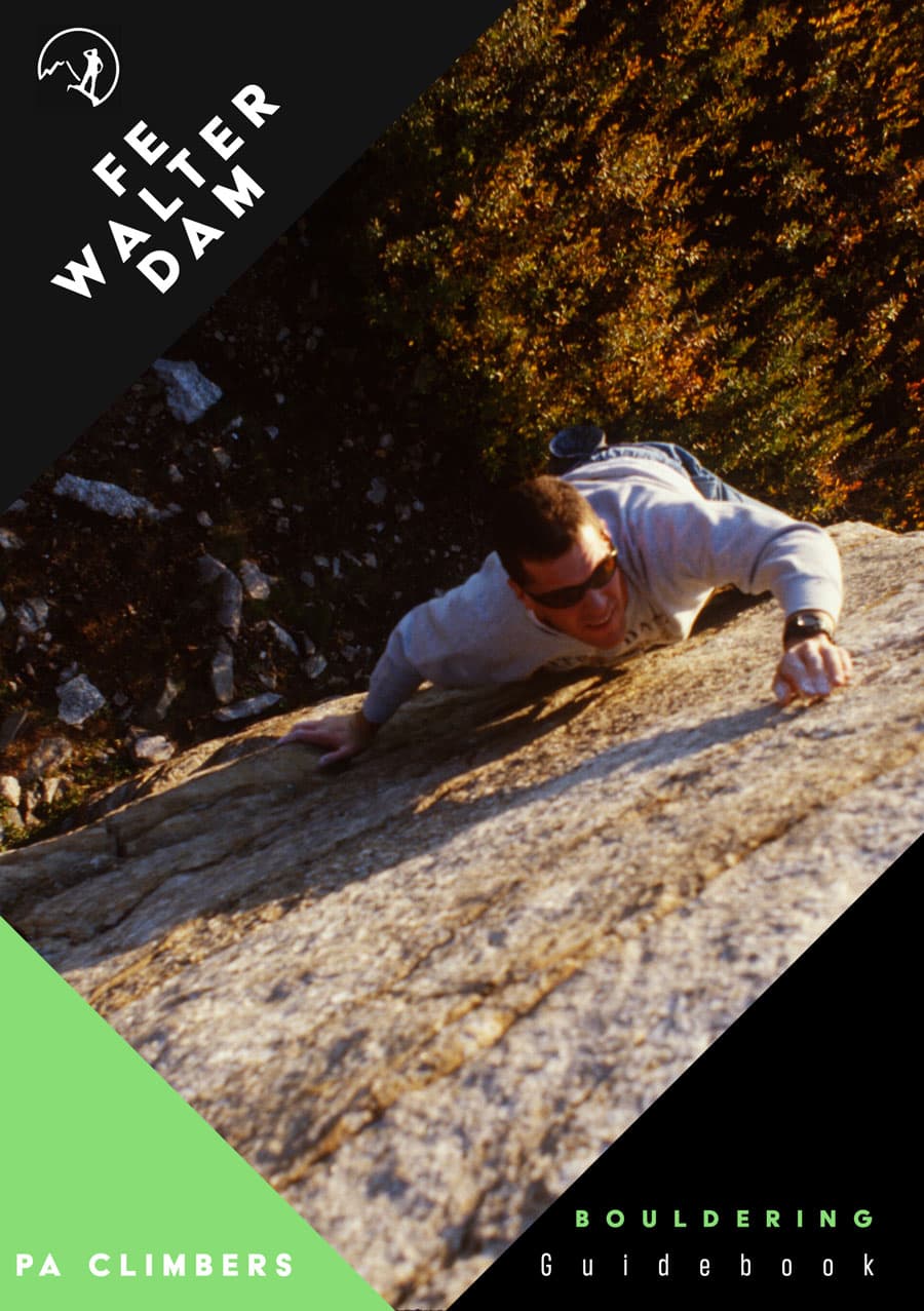 cover image for: Fe Walter